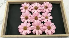 のぶりん様専用