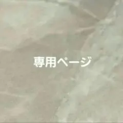 専用ページ