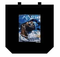 Item thumbnail for item b459da4b-d854-4f0e-98b5-edd76c6159c3