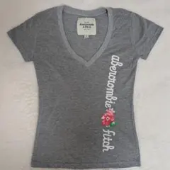 新品未使用 Abercrombie&Fitch 半袖Tシャツ グレー Sサイズ