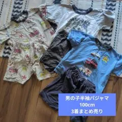 Item thumbnail for item d566550a-e971-4033-b5c1-91b7098dc9b4