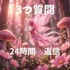 1 / 2 【ジャンル不問】タロット占い｜質問3つまで／24時間以内鑑定