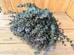 mimosa様 リクエスト 2点 まとめ商品