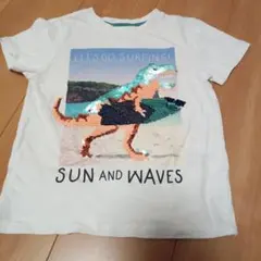 H&M　恐竜 サーフィン Tシャツ 100cm