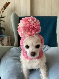 Item thumbnail for item 3bfc58c1-371a-4840-9342-f2ed3e6fa098