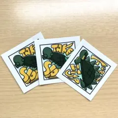 カメ オリジナルステッカー 2種3枚セット 正方形 5cm×5cm 亀グッズ