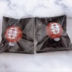 ツイステ リングライト トレイ 2点