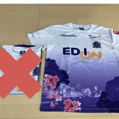 サンフレッチェ広島 24ピースマッチ コンフィットTシャツ - メルカリ