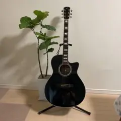 2026年最新】hotaka ギターの人気アイテム - メルカリ