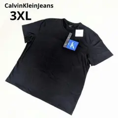 【海外限定品】Calvin Klein Jeans Tシャツ 3XL ブラック