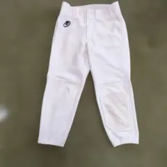 150 レギュラー 野球