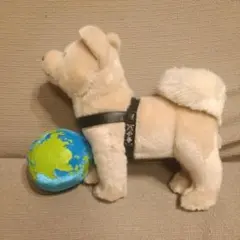 忠犬ハチ公 国立科学博物館／ぬいぐるみ - メルカリ