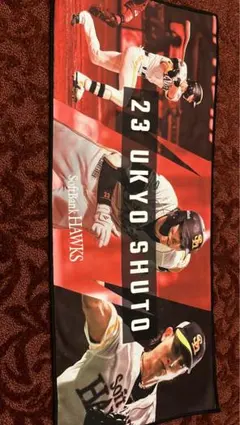 Item thumbnail for item 8782be35-23e6-42a3-863a-758ddc7ae7f6