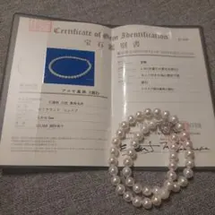 Item thumbnail for item 2f742520-0386-4c0d-b03b-7ddec196403d