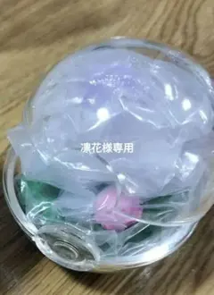 ポケモン　テラリウムコレクション　のんびりなひととき