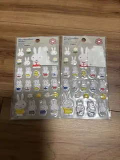 Item thumbnail for item 68316e98-398f-4f85-b2ec-46039aac5938