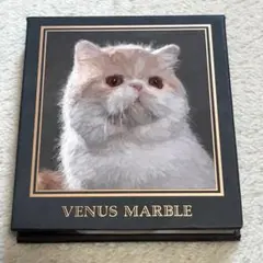 VENUS MARBLE ヴィーナスマーブル エキゾチックショートヘアのサムネイル