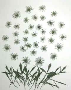 Item thumbnail for item c87eb2db-d213-4477-8a66-54cb66631a29