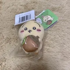 うさぎだらけくじ　D賞　マスコット　どんぐりDJ ちいかわ