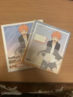 ハイキュー　箔押しミニ色紙コレクション　日向翔陽