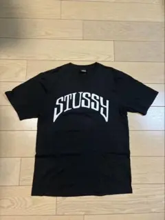 希少レア】old stussy tシャツ 短丈 ブラック 黒タグ y2kバック - メルカリ