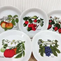 希少　果物柄　フルーツ柄　果樹柄 陶器の皿　5枚セット　レトロ