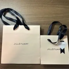 JILLSTUART ピンク 紙袋 大小セット
