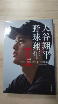 Item thumbnail for item 8964dfad-6112-4467-ba19-b30ee6728ee0