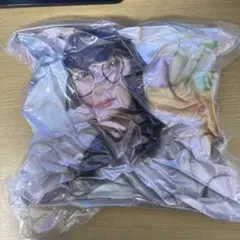 乃木坂46 乃木坂リズムフェスティバル クッション 遠藤さくら - メルカリ