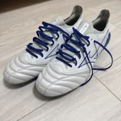 モレリアネオ3βJapan26cm