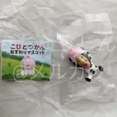 こびとづかん おすわりマスコット ガチャ シボリオオチチ 1点