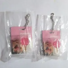 アイスキャンディ　ズートピア　ブリスターチャームコレクション　ディズニー