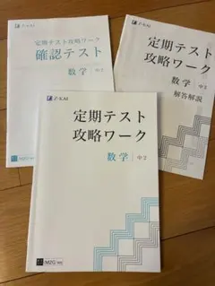 みっちー様 リクエスト 2点 まとめ商品