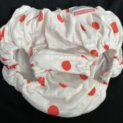 スキャンティ　レトロ