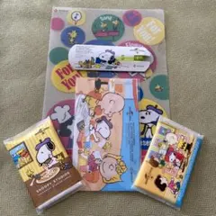 ❣️スヌーピー  グッズ　5点セット