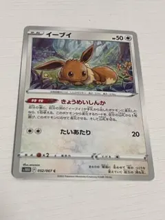 イーブイ チャンピオンシップ2020 - メルカリ