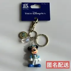 東京ディズニーリゾート TDR TDS キーチェーン 15周年