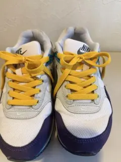Nike スニーカー ホワイト/パープル/イエロー