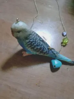 ゴールディ 鳥フィギュア ネックレス セキセイインコのサムネイル