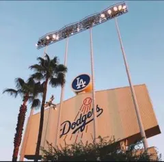 RYU様 まとめ買い割 専用出品