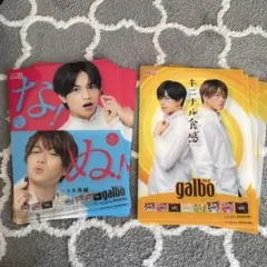 明治 ガルボ 下敷き SexyZone