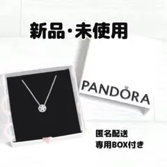 m断捨離中様】専用ご購入ページ PANDORA フローティングロケットセット