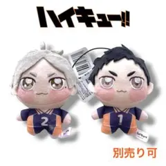 新品✝ハイキュー！！ぬいぐるみマスコット 影山飛雄 及川徹 - メルカリ