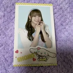 =LOVE イコラブ シナモロール シナモン カード 瀧脇笙古