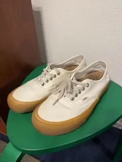 VANS バンズ　オーセンティック　eco theory collection