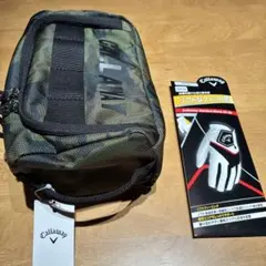 Item thumbnail for item a9f1a8db-0994-442f-bcf0-b7a48876e522