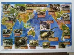 世界のクワガタ・カブトムシ　ジグソーパズル　150ラージピース