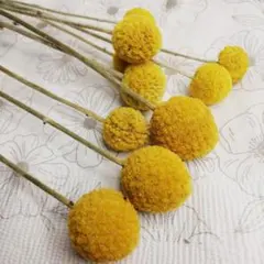 マリリン様 リクエスト 2点 まとめ商品