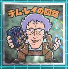 機動戦士ガンダムマン　テム・レイの回路