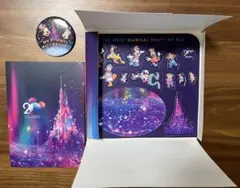 香港ディズニーランド　ディズニーランドホテル　20周年記念品
